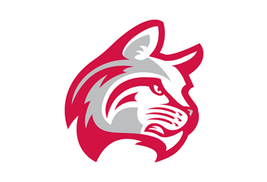 Indiana Wesleyan - Baseball